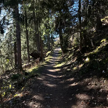 Pine Perch - Le Perchoir Des Pins Leysin