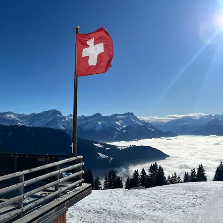 Apartmán Pine Perch - Le Perchoir Des Pins Leysin