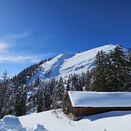Apartmán Pine Perch - Le Perchoir Des Pins Leysin