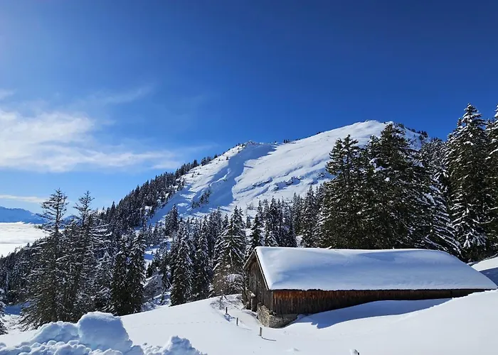 Appartement Pine Perch Center Leysin