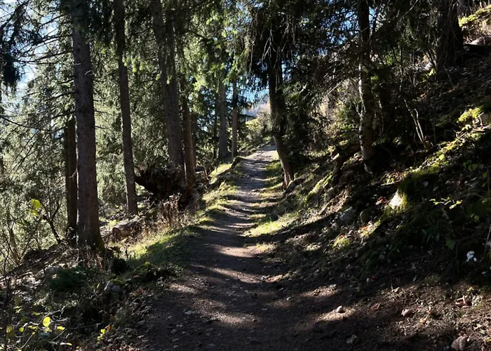 Pine Perch Center לייסין